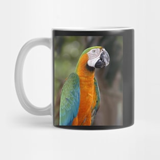 Harlequin Macaw Mug